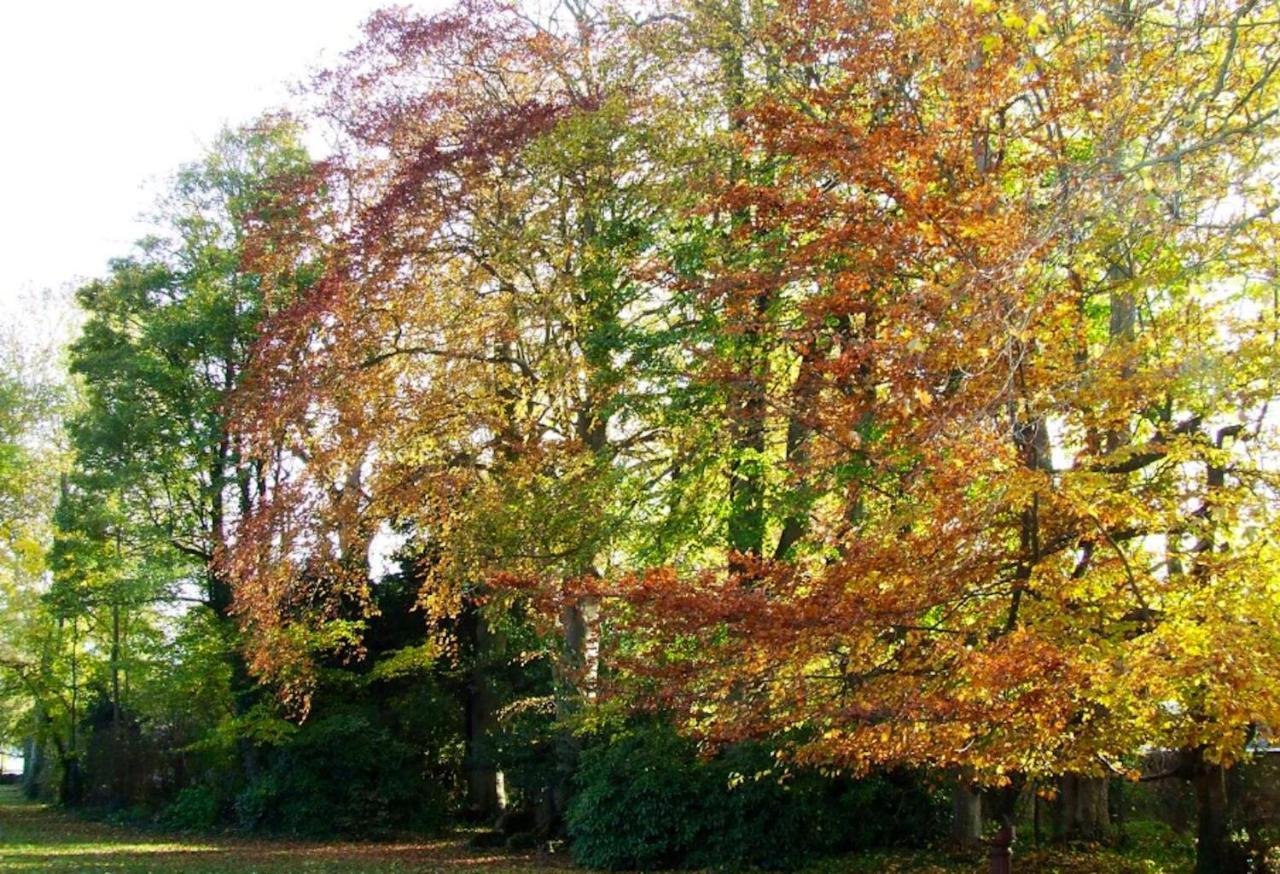 Maison Charmante A Ryes Avec Jardin Clos Et Acces Pmr Buitenkant foto